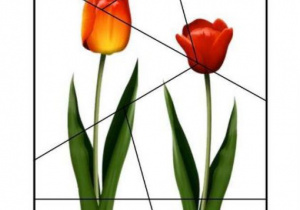 potnij i ułóż obrazek tulipanów