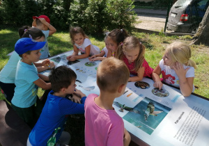 oglądamy ławy edukacyjne