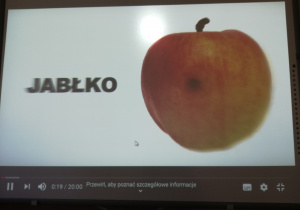 Zdjęcie 7 na 9