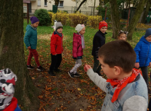 Nasze drzewa- zabawy przyrodniczo- badawcze w ogrodzie