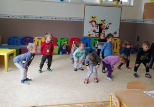 Zdjęcie 5 na 5