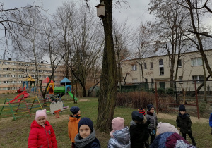 Budka dla ptaków - do czego służy?