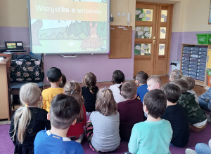 Prezentacja multimedialna - wszystko o wiośnie