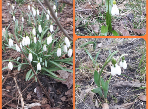 Tymek - fotografie konkursowe