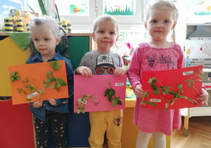 Zdjęcie 11 na 12