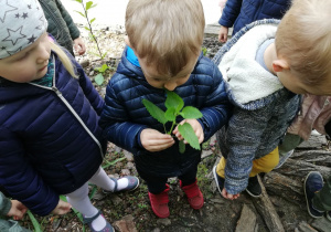 Zdjęcie 4 na 12