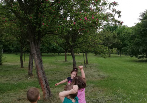 Zdjęcie 8 na 13
