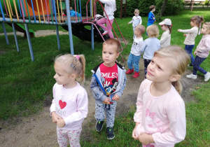 Zdjęcie 9 na 11