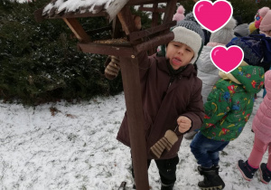 Zdjęcie 7 na 7