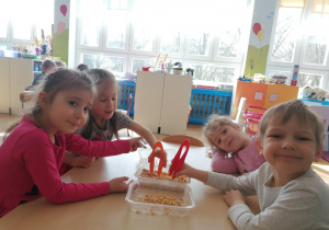 Zdjęcie 10 na 16