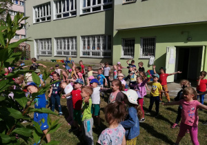Zdjęcie 6 na 25