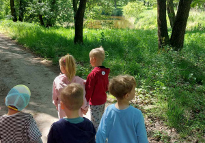 Kraina Dzikiej Kaczki