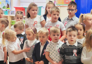 Zdjęcie 7 na 9