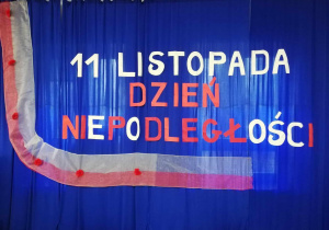 Zdjęcie 1 na 11
