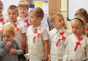 Zdjęcie 10 na 11