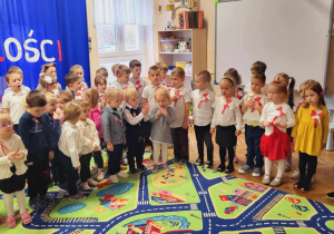 Zdjęcie 11 na 11