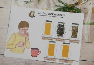 Zdjęcie 14 na 33