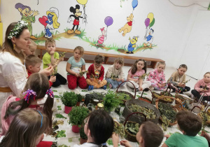 Zdjęcie 15 na 33