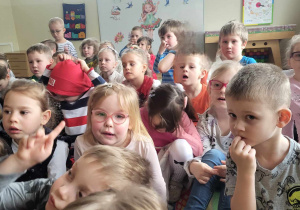 "Romuś, Tomuś i zielona koniczynka"