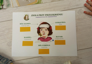 Zioła