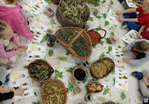 Pani od ziół