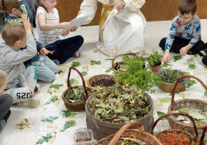 Pani od ziół
