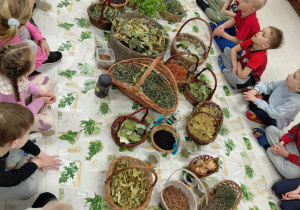 Pani od ziół