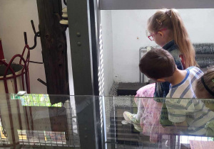 Akademia Miejskiego Pasażera