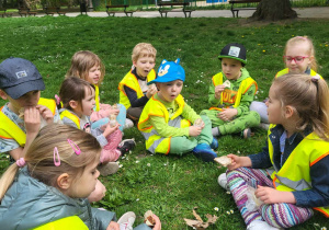 Piknik