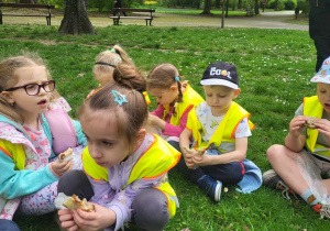 Piknik