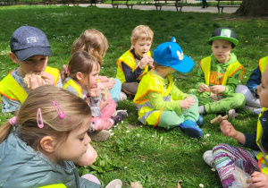 Piknik