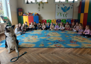 Zdjęcie 1 na 13