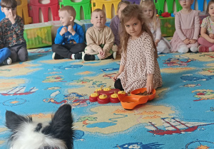 Zdjęcie 9 na 13