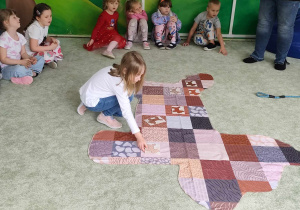 Zdjęcie 11 na 12