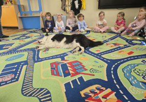 Dogoterapia