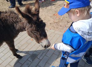 Wycieczka do mini zoo "Agrobanda"