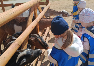 Wycieczka do mini zoo "Agrobanda"