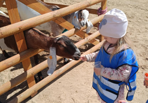 Wycieczka do mini zoo "Agrobanda"