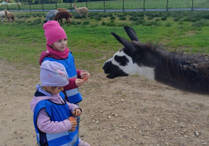 Wycieczka do mini zoo "Agrobanda"