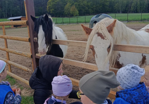 Wycieczka do mini zoo "Agrobanda"