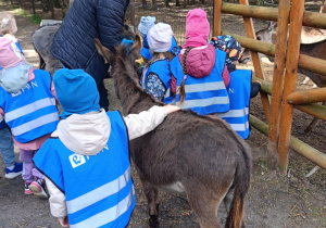 Wycieczka do mini zoo "Agrobanda"