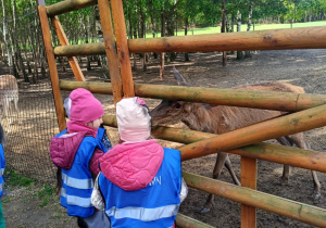 Wycieczka do mini zoo "Agrobanda"