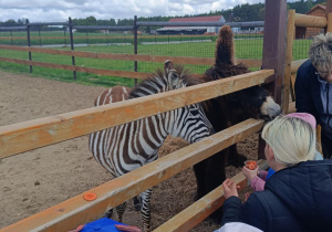Wycieczka do mini zoo "Agrobanda"