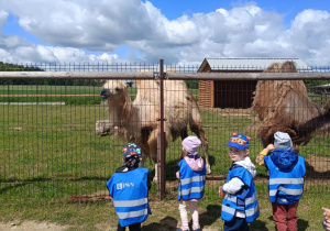Wycieczka do mini zoo "Agrobanda"