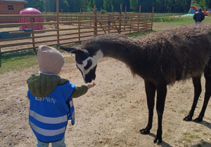 Wycieczka do mini zoo "Agrobanda"