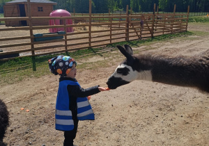 Wycieczka do mini zoo "Agrobanda"