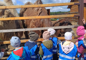 Wycieczka do mini zoo "Agrobanda"