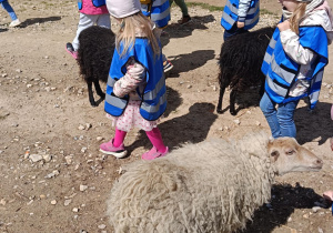 Wycieczka do mini zoo "Agrobanda"