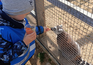 Wycieczka do mini zoo "Agrobanda"