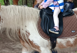 Wycieczka do mini zoo "Agrobanda"